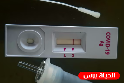 الاحتلال يقر خطة جديدة لإنتظام الدراسة في ظل كورونا